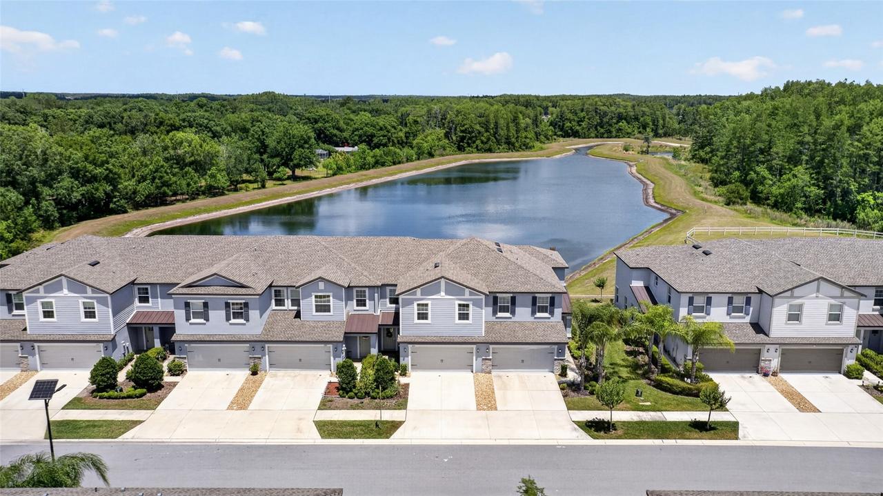 2213 Cerulean Sky Dr., Lutz, FL 33558