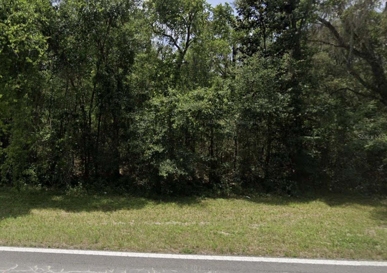 Lake Lindsey Rd., Nobleton, FL 34661
