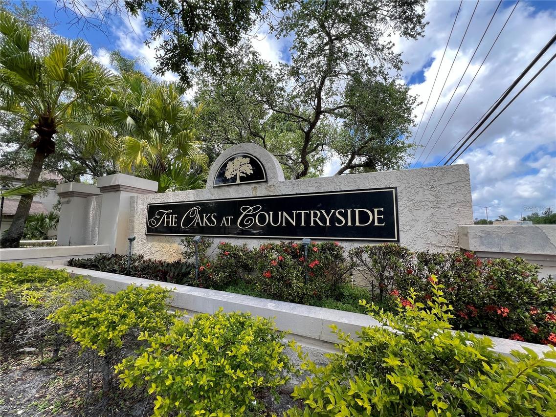 3014 Red Oak Ct. #102, Palm Harbor, FL 34684