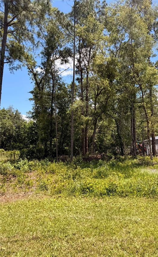 6327 Fig Ave., Webster, FL 33597