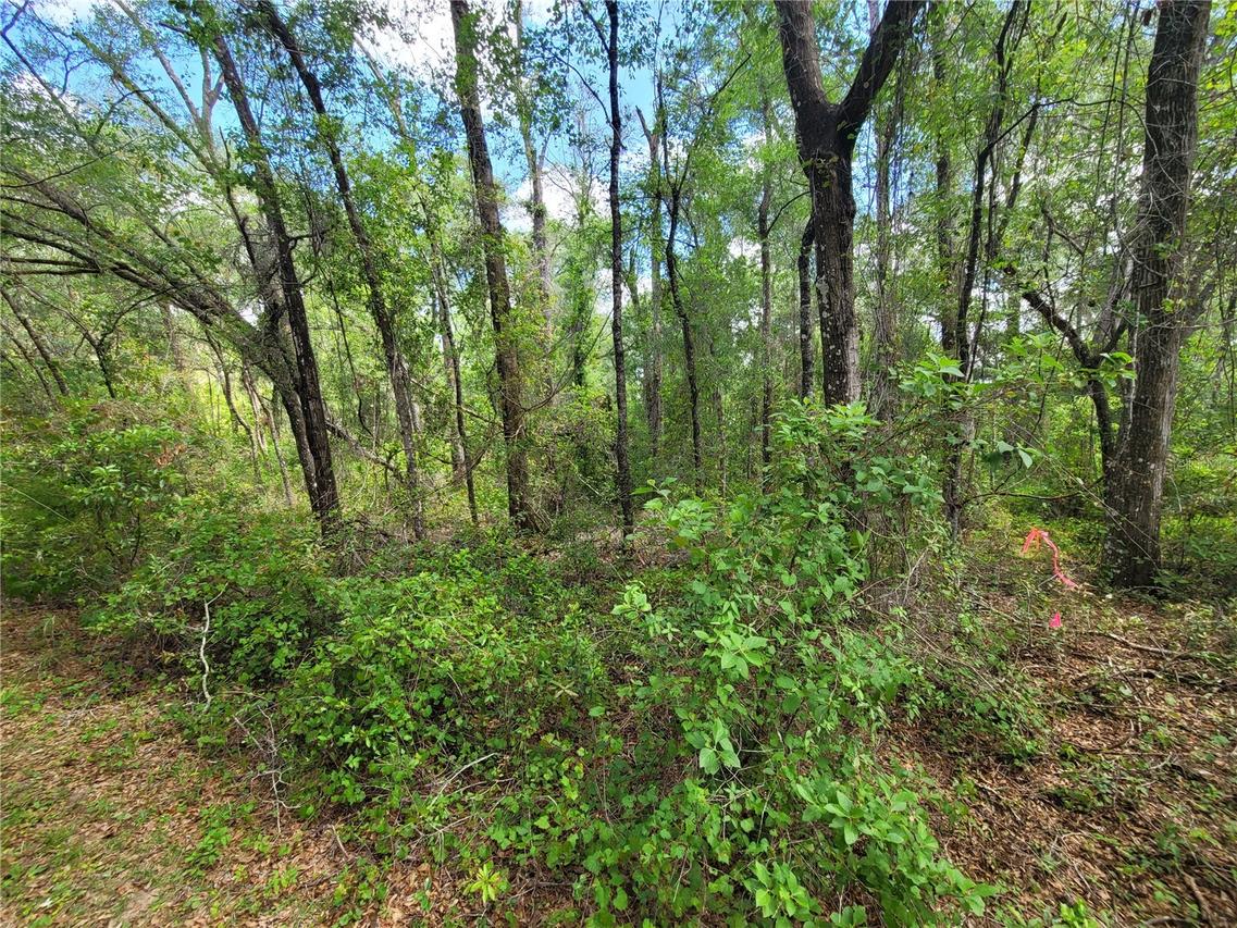 910 Ferncreek Ave., Inverness, FL 34453