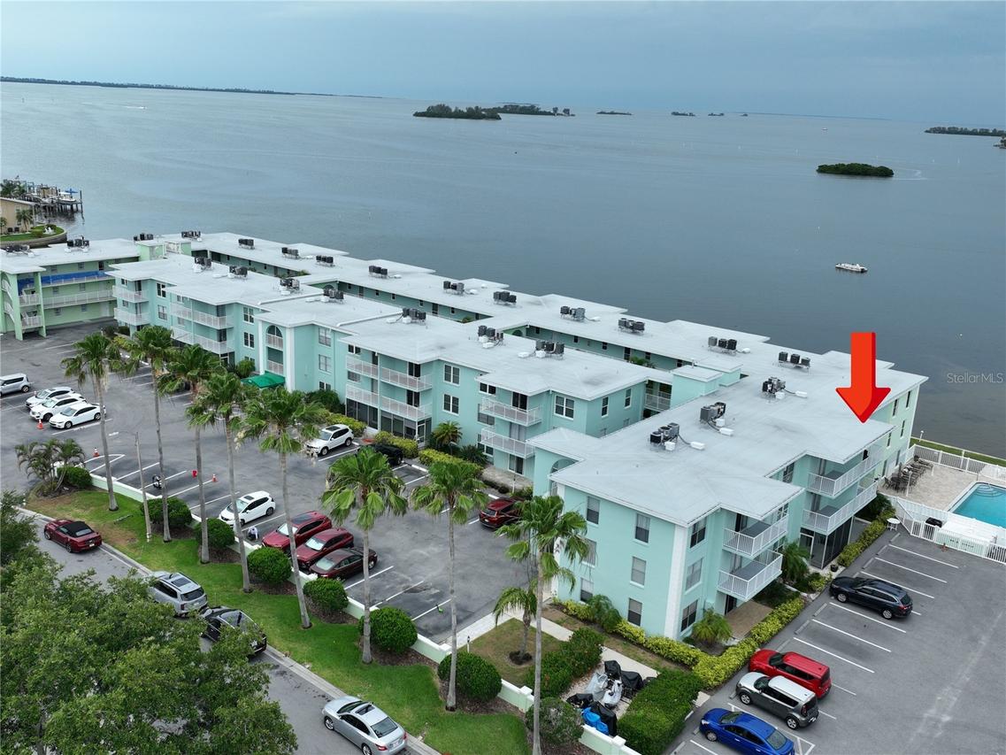 464 N Paula Dr. #313, Dunedin, FL 34698