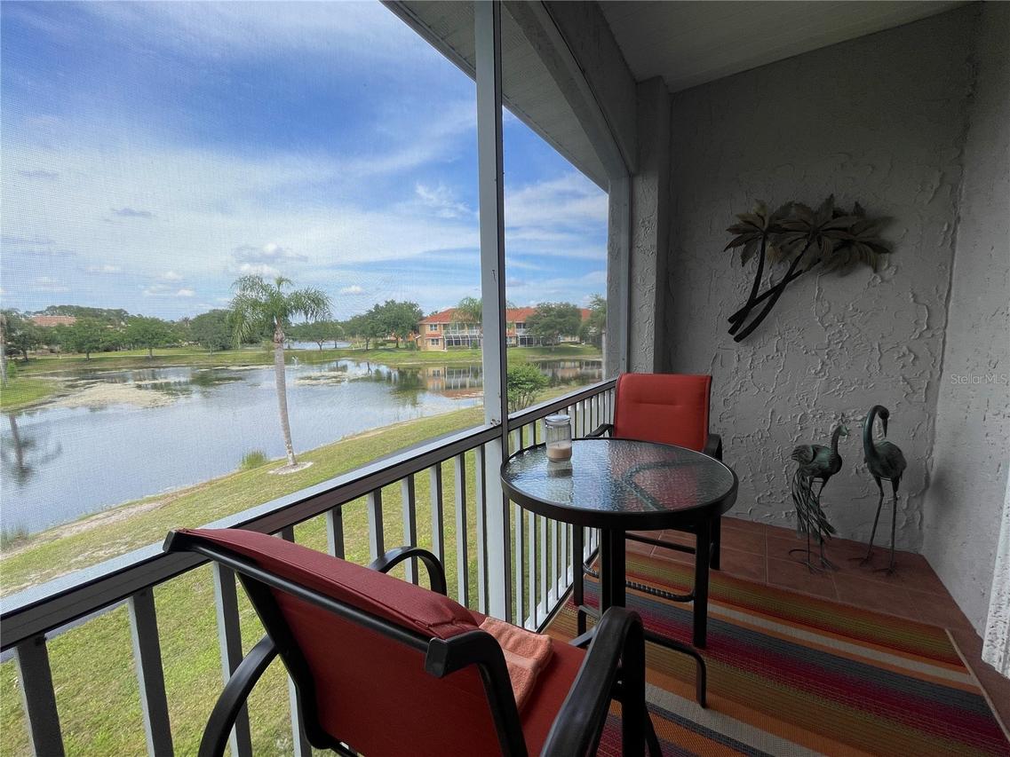 6808 Dali Ave. #204, Land O Lakes, FL 34637