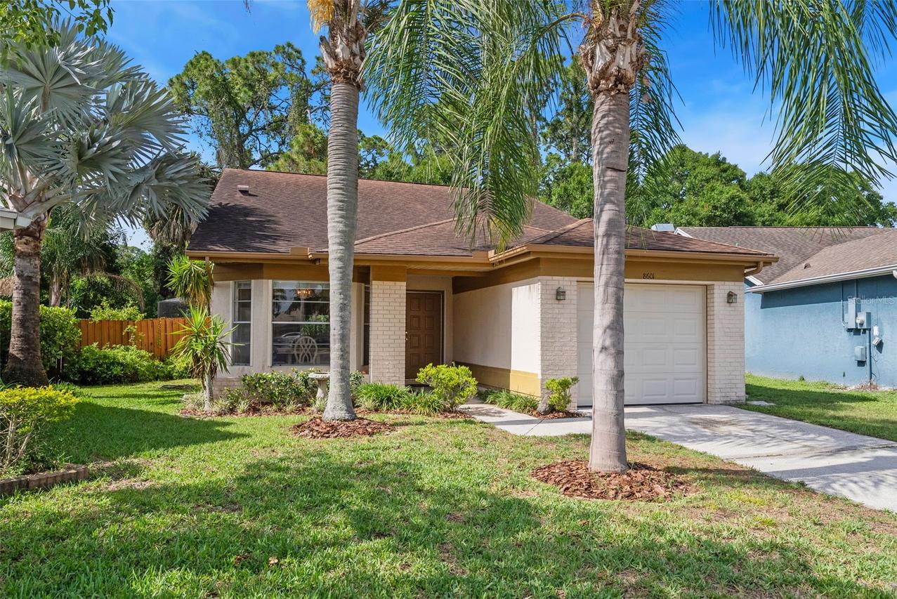 8601 Twin Farms Pl, Tampa, FL 33635