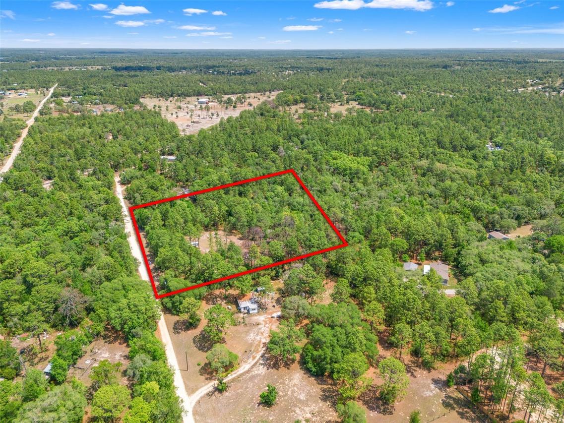 9031 N Manila Ter., Dunnellon, FL 34433