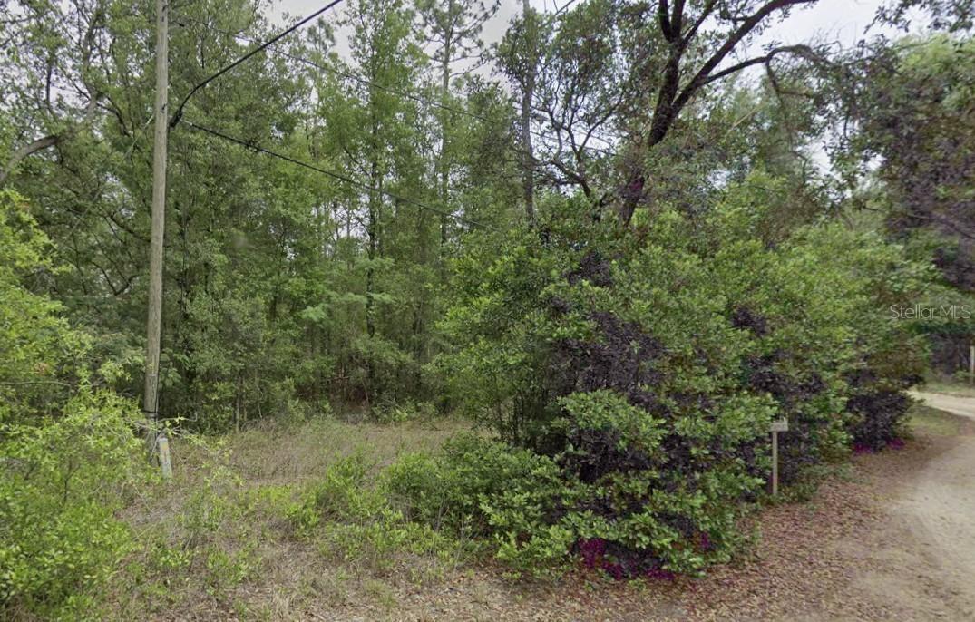 10013 N Holyoak Ter., Dunnellon, FL 34433