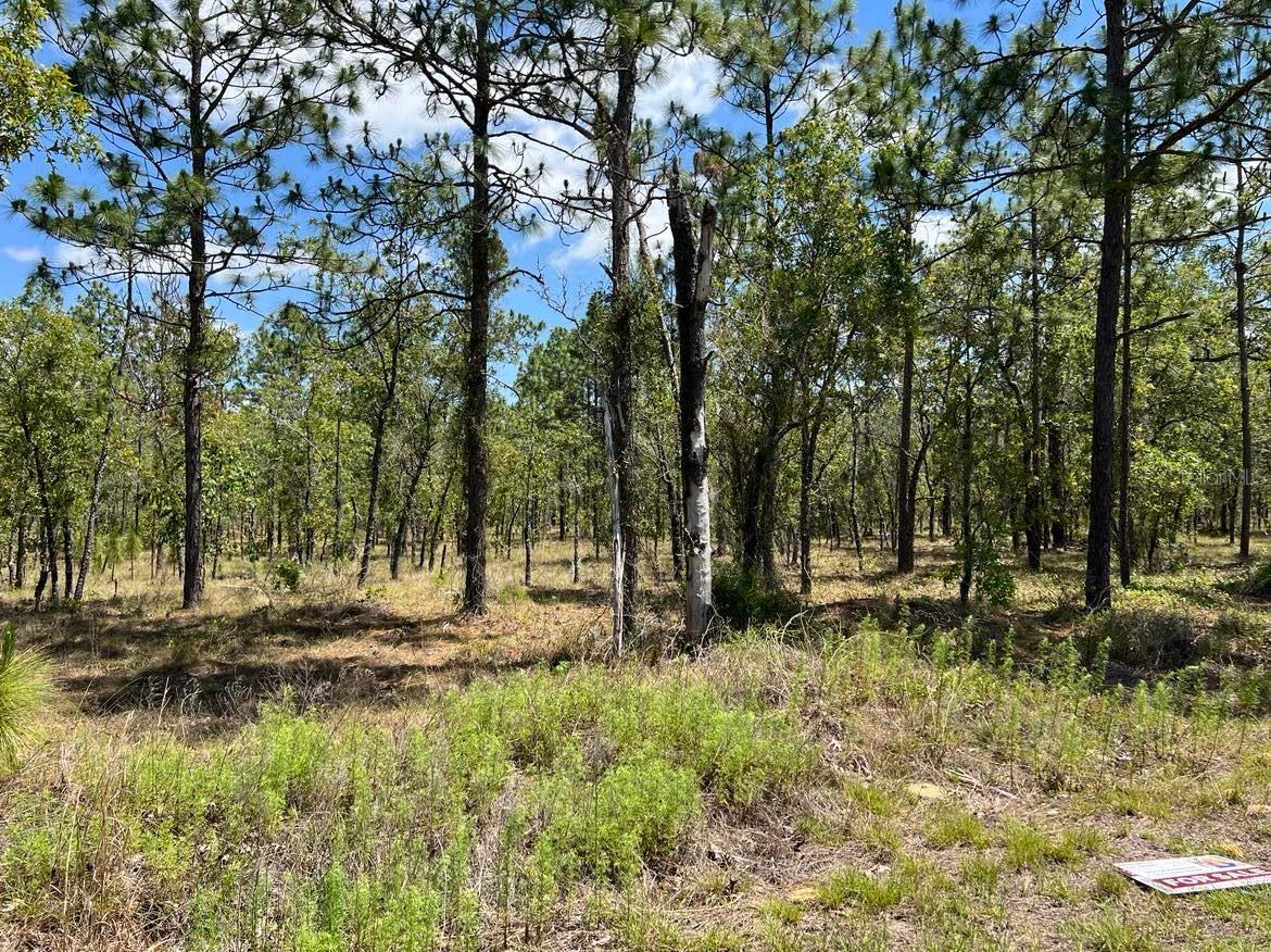 NW Amberjack, Lot #33 Ave. #Lot #33, Dunnellon, FL 34431