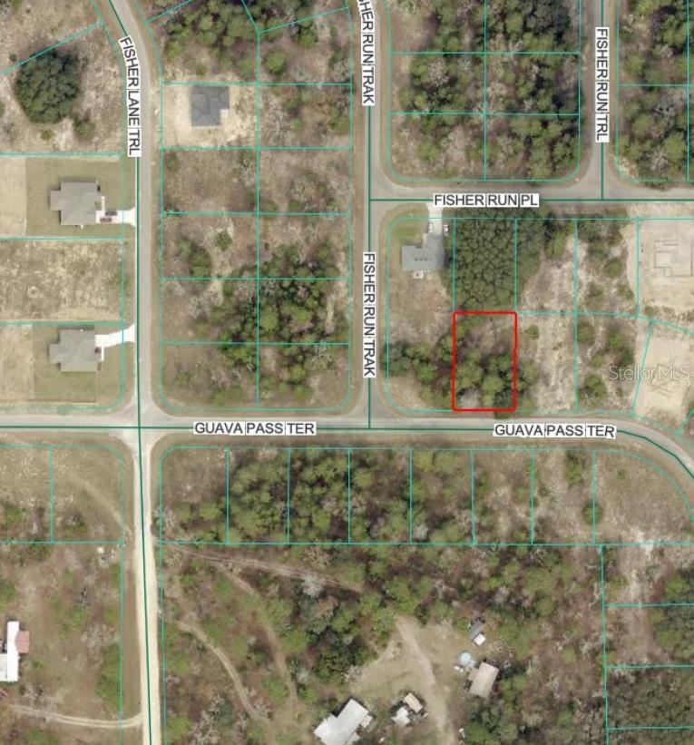 Guava Pass Ter., Ocklawaha, FL 32179