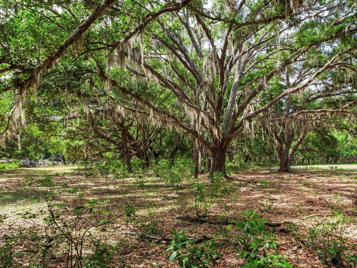 [Address Hidden by Seller], Thonotosassa, FL 33592