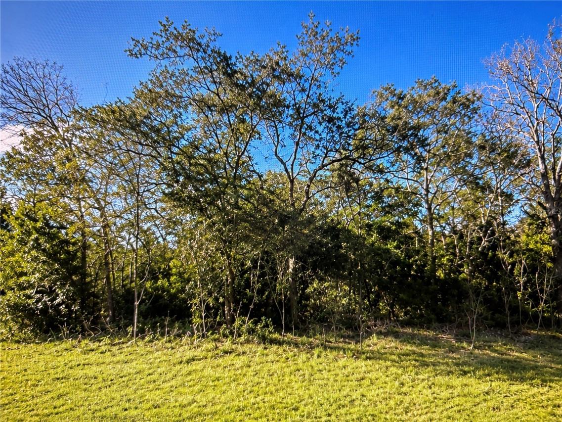 143 Pl., Ocala, FL 34473