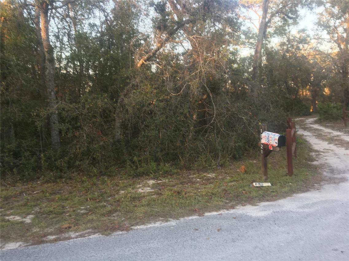 Kim Lane, Hudson, FL 34669
