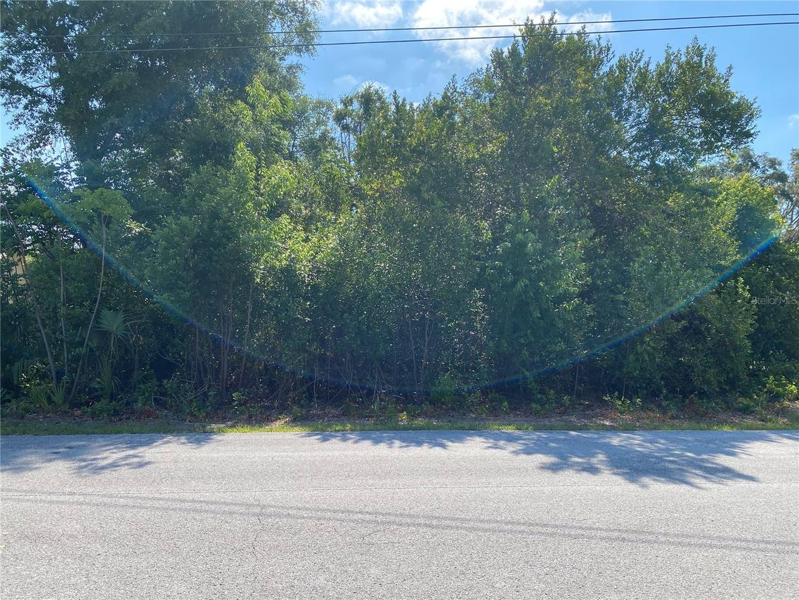 Gatewood Ave., Spring Hill, FL 34608