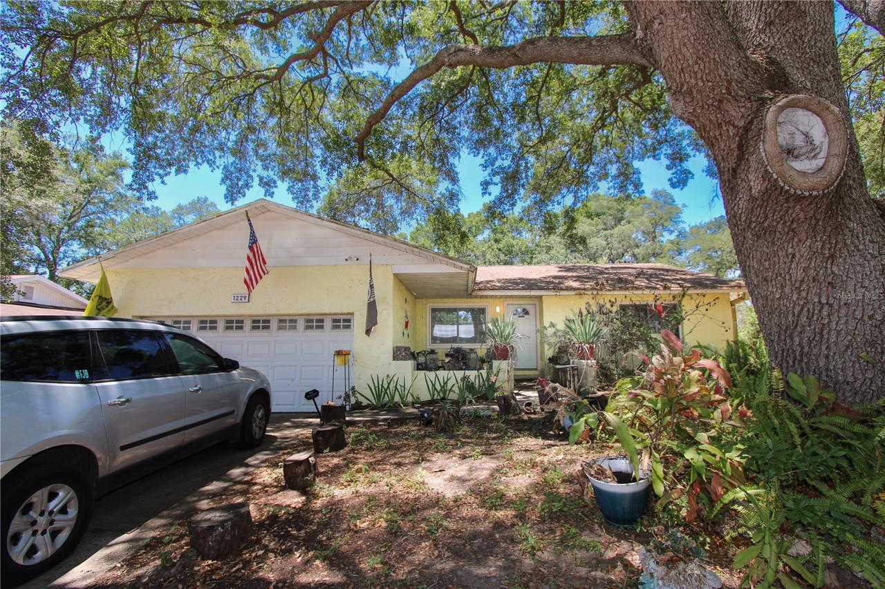 1229 Oak Valley Dr., Seffner, FL 33584