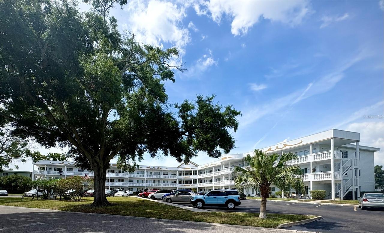 2428 Columbia Dr. #36, Clearwater, FL 33763