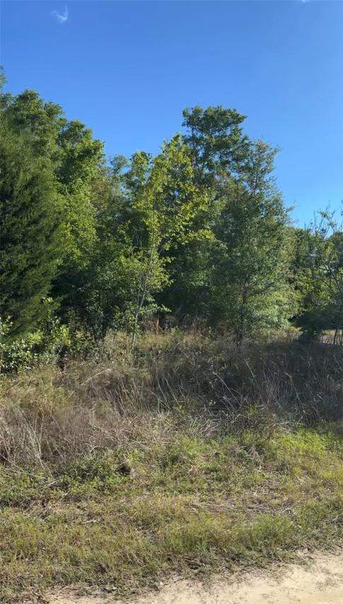 2405 Wilson St St., Inverness, FL 34453