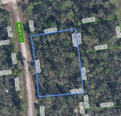 719 Pacific St., Lake Placid, FL 33852