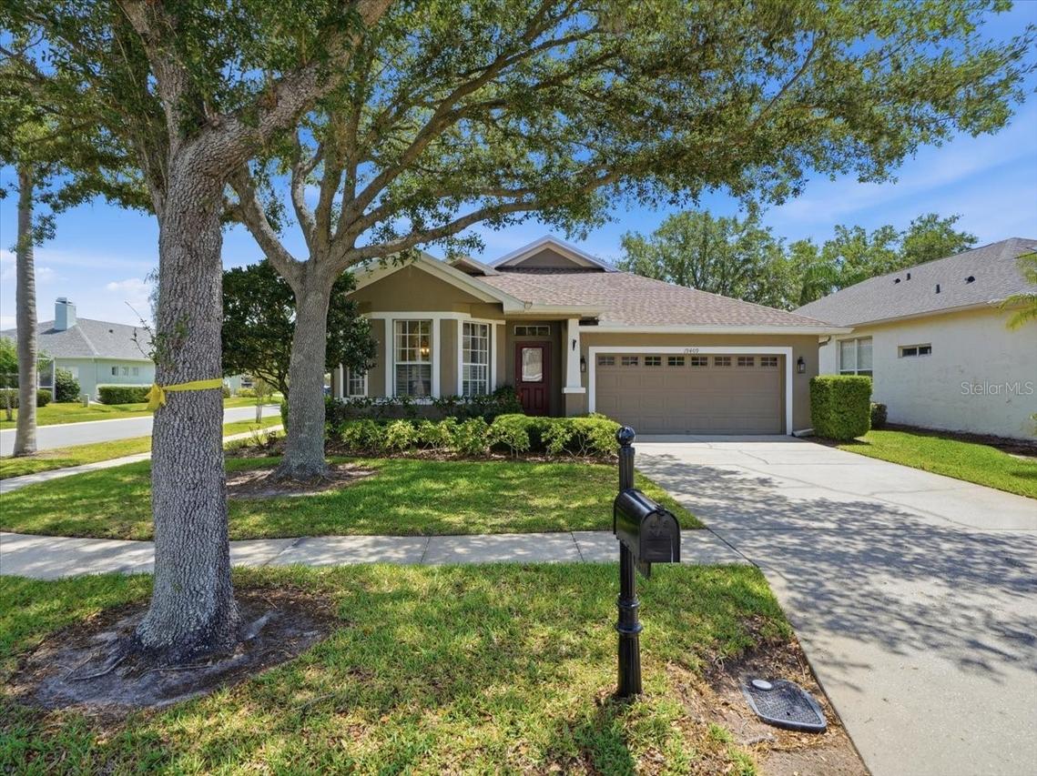 19409 Golden Slipper Pl., Lutz, FL 33558