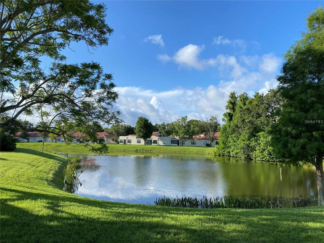 9009 41st Way #5, Pinellas Park, FL 33782