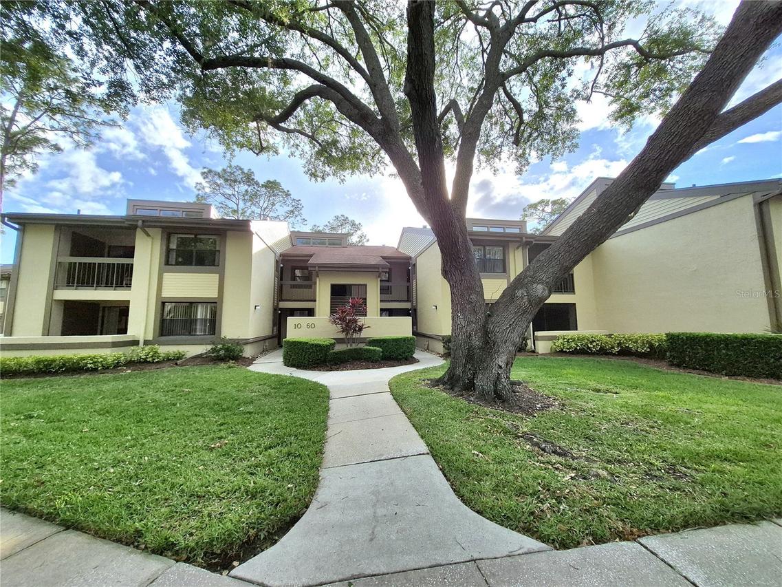 50 Woodlake Pl., Oldsmar, FL 34677