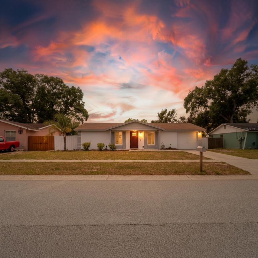 2207 Selkirk St., Valrico, FL 33594