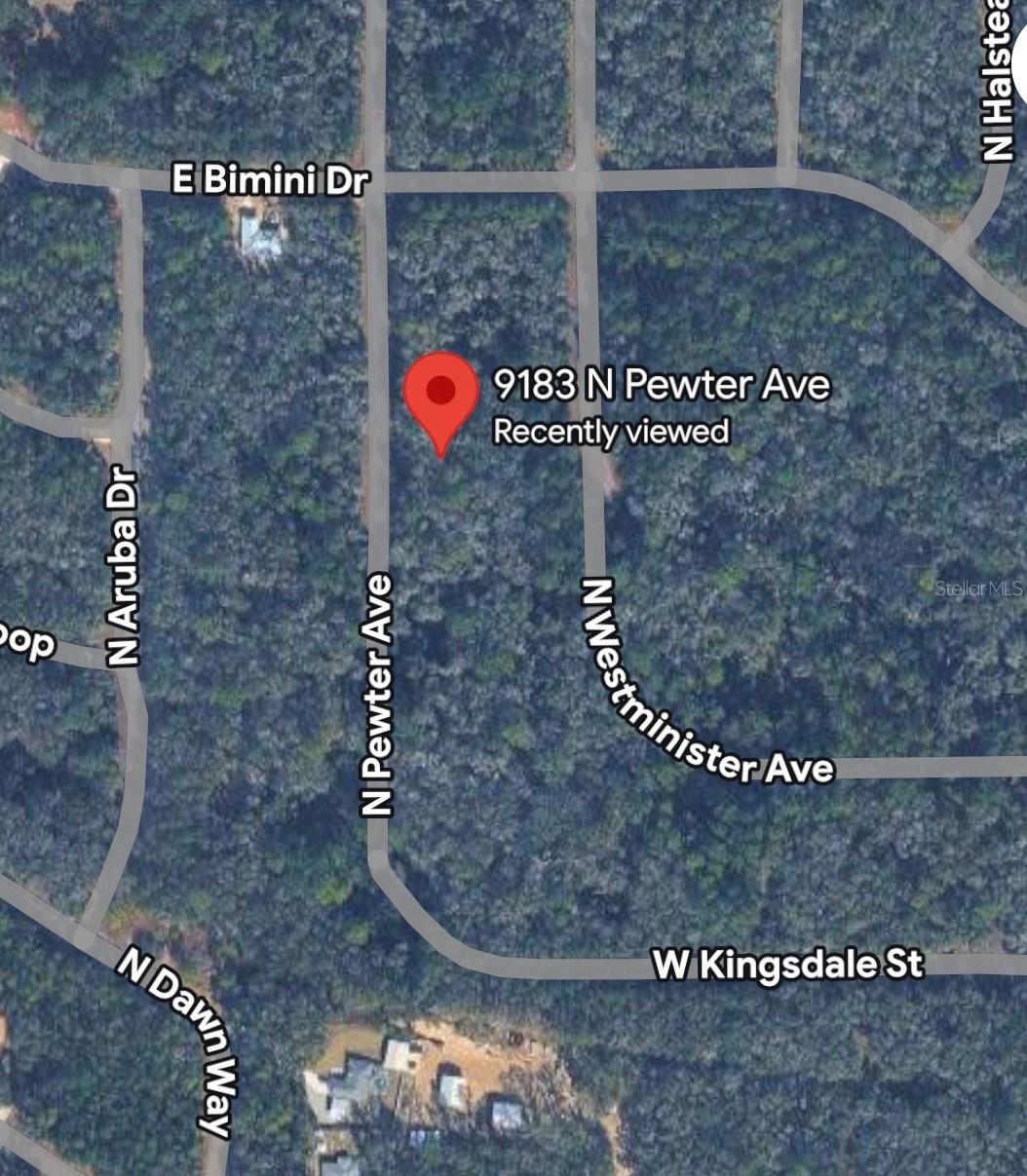 9183 N Pewter Ave., Dunnellon, FL 34434