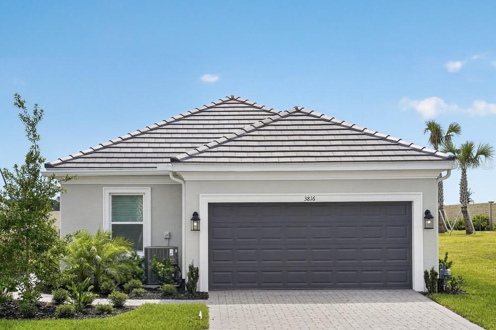 3816 Immacolata Way, Wesley Chapel, FL 33543