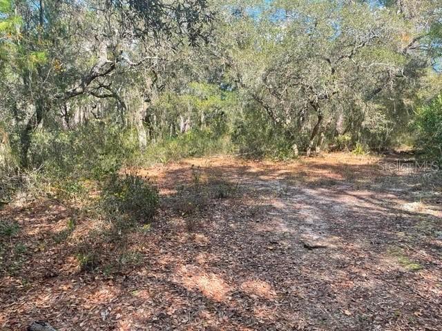 9345 SE 195th Ave., Ocklawaha, FL 32179