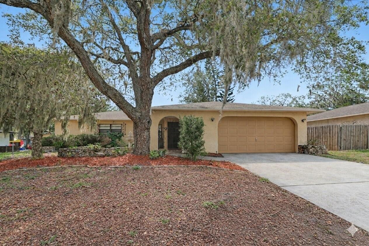 8741 Elm Leaf Ct., Port Richey, FL 34668