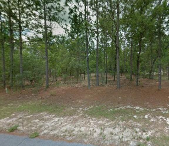 1204 W Fan Dr., Citrus Springs, FL 34434