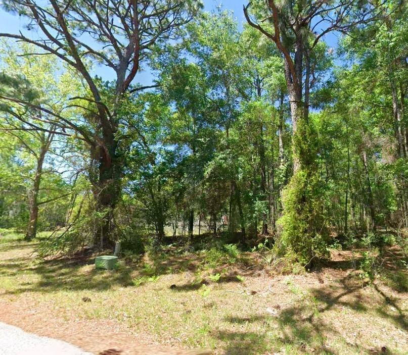 2581 W Pharaoh Ct. #28, Lecanto, FL 34461