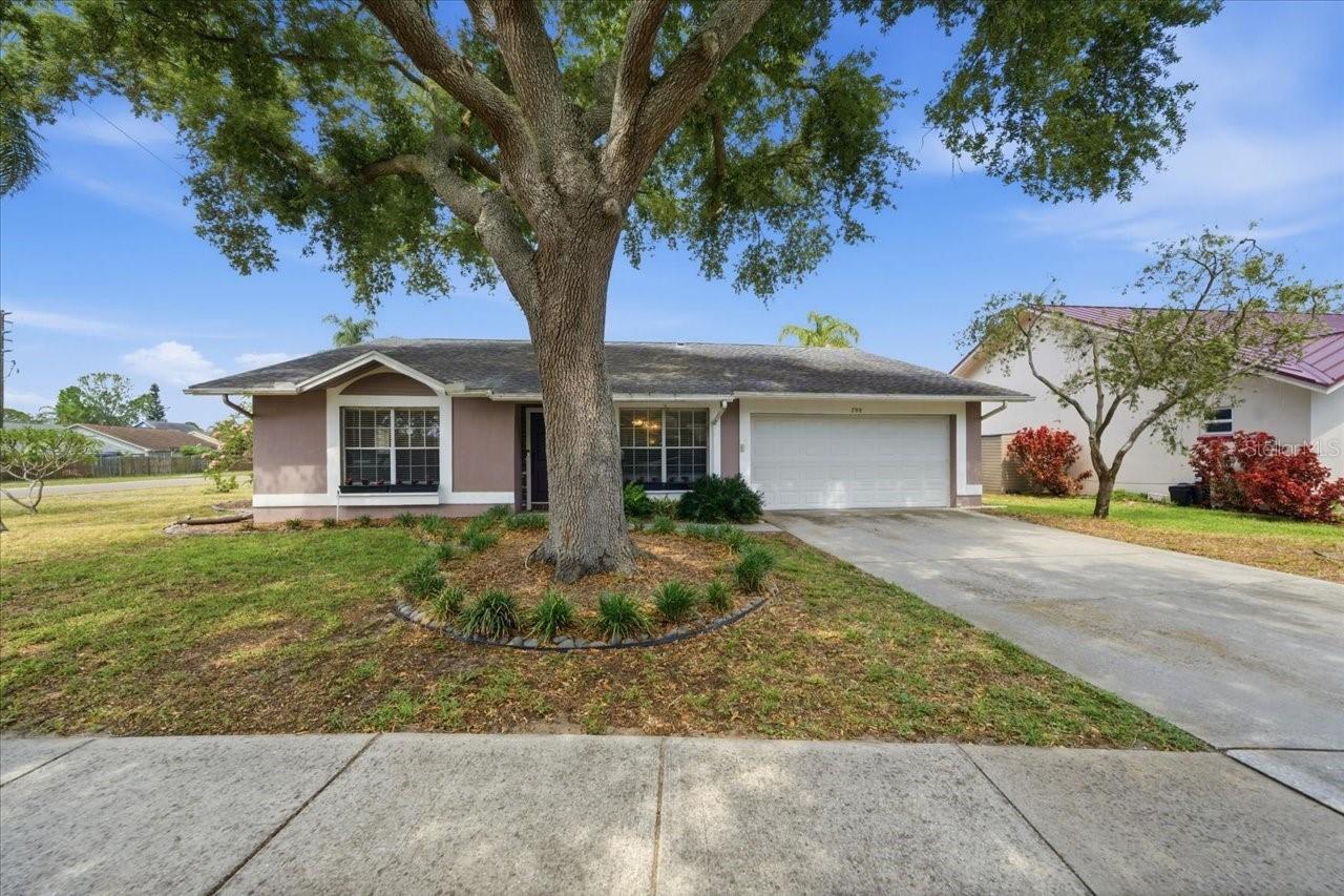 798 Countryshire Ln., Palm Harbor, FL 34683