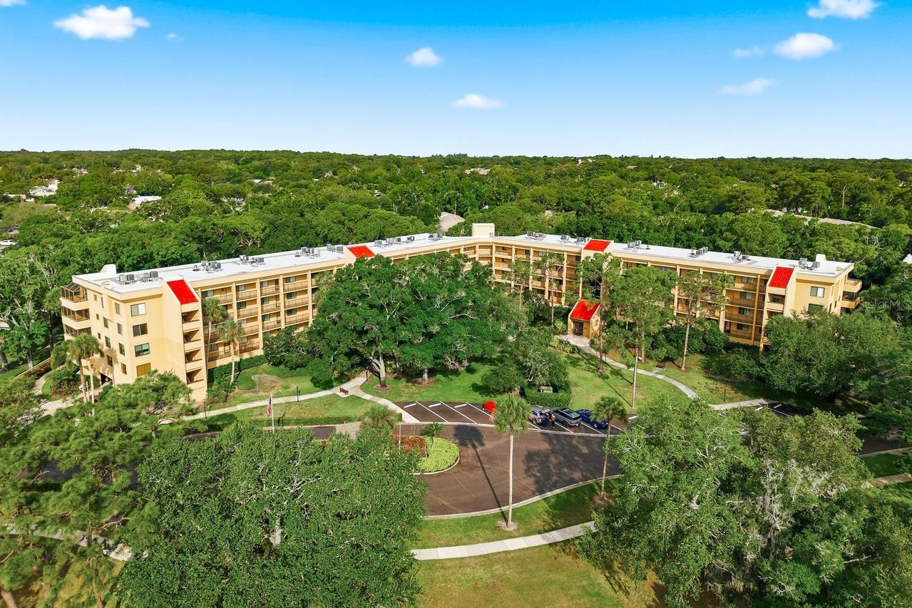 3078 Eastland Blvd. #401, Clearwater, FL 33761