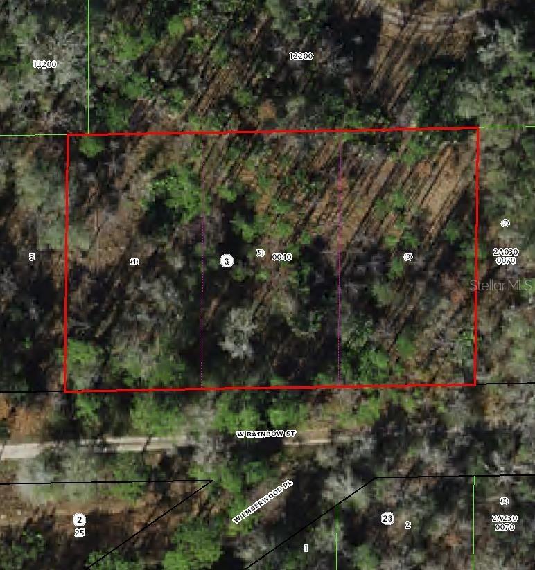 7265 W Rainbow St., Dunnellon, FL 34433