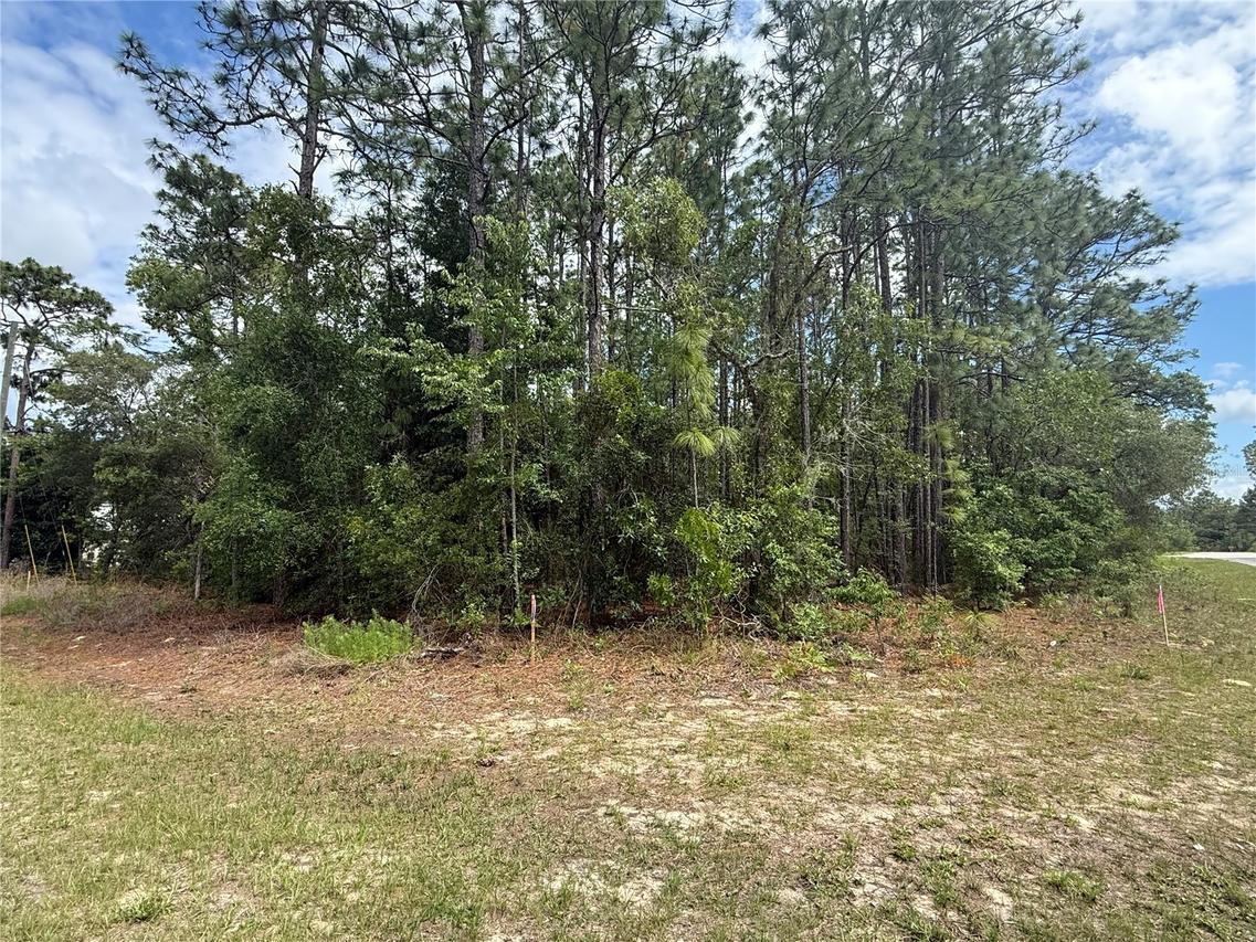 7103 N Hemmingway Dr., Dunnellon, FL 34434