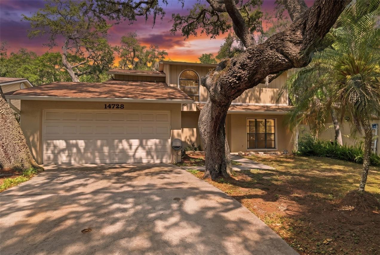 14728 Tall Tree Dr., Lutz, FL 33559