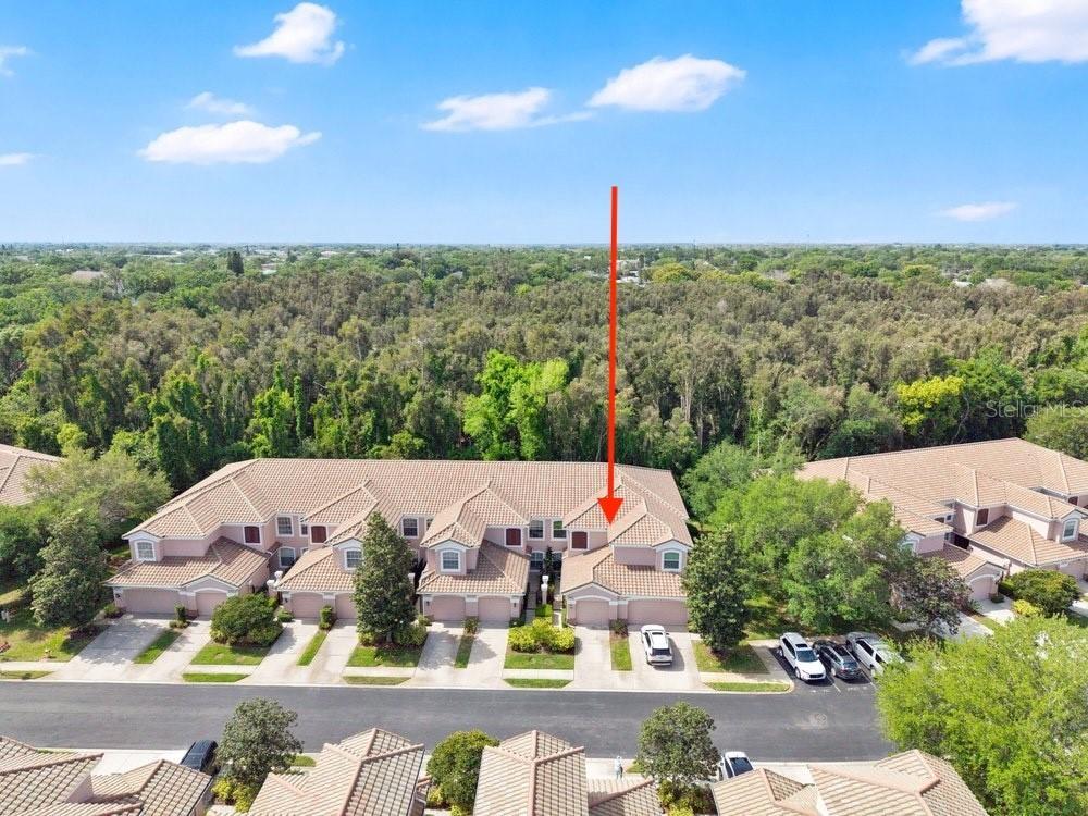 812 Lantern Way #104, Clearwater, FL 33765