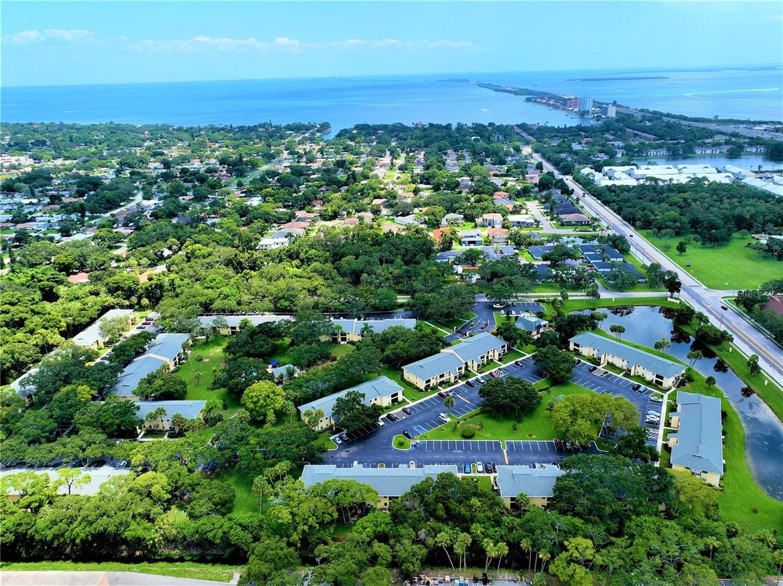 3001 58th Ave. #805, St Petersburg, FL 33712