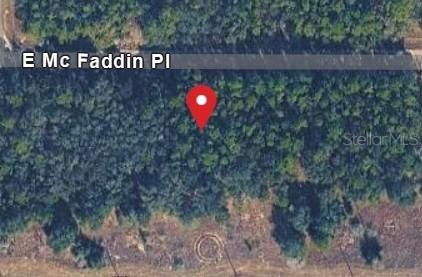 389 E Mc Faddin Pl., Dunnellon, FL 34434