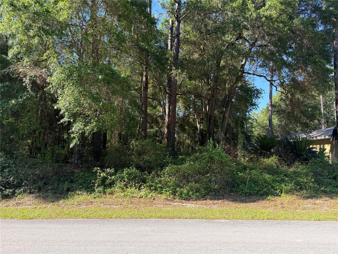 10927 N Airway Loop, Citrus Springs, FL 34434