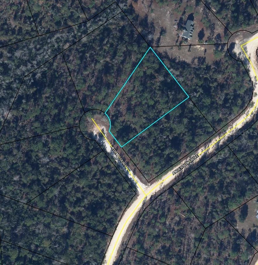 0000 Kulm Ct., Alford, FL 32420