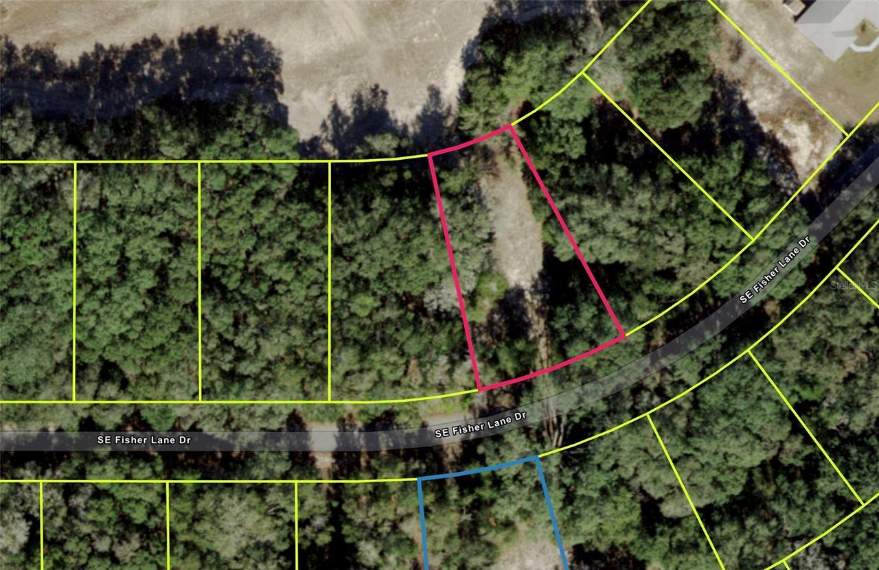 SE Fisher Lane Dr., Ocklawaha, FL 32179