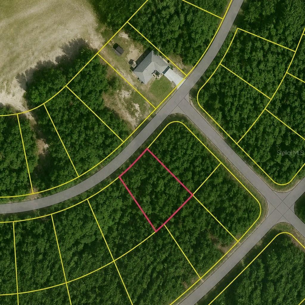 SE Fischer Lane Dr., Ocklawaha, FL 32179