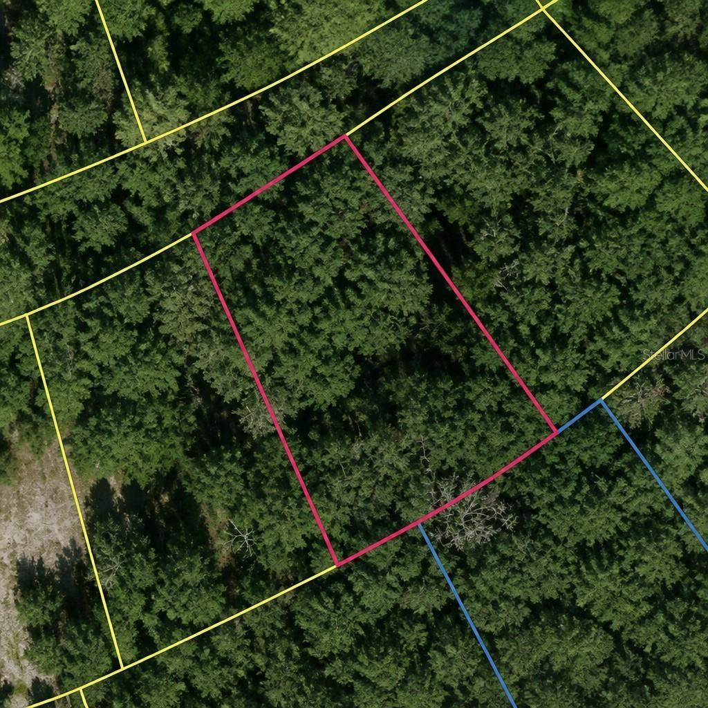 SE Fischer Lane Dr., Ocklawaha, FL 32179