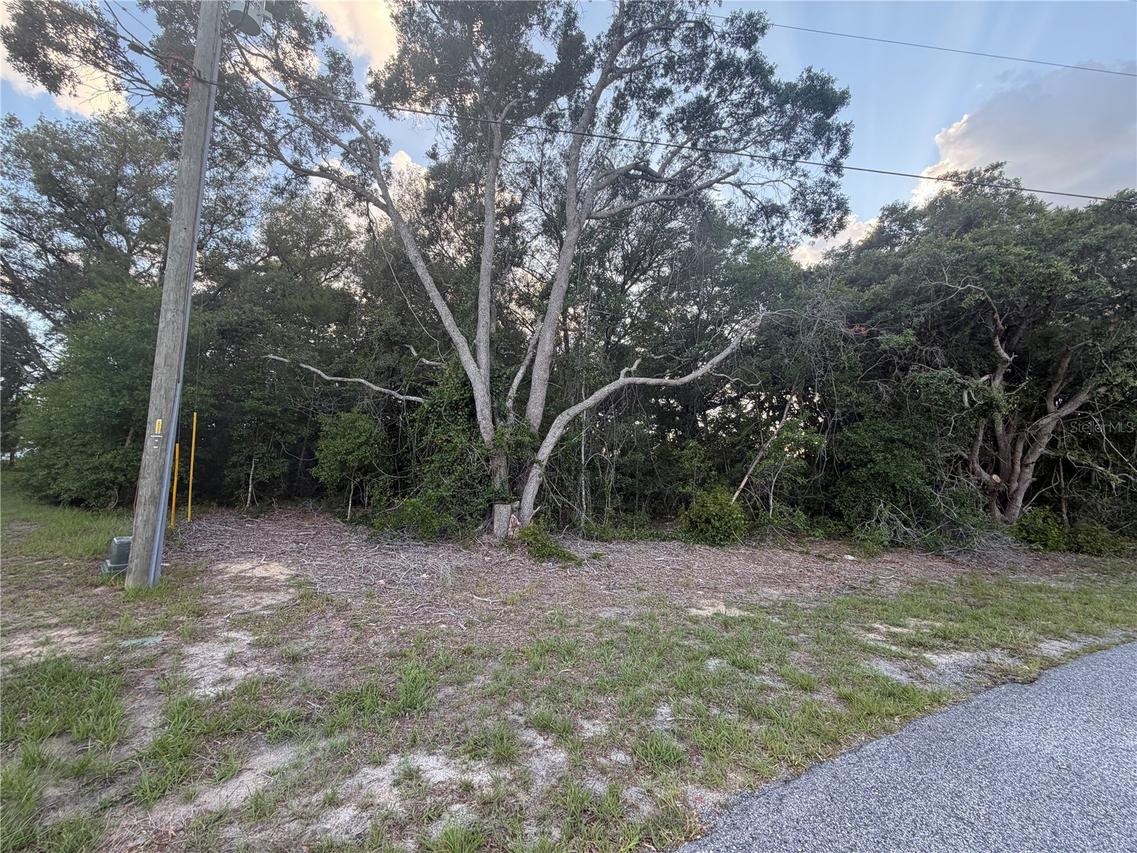Lot 4, Ocala, FL 34473