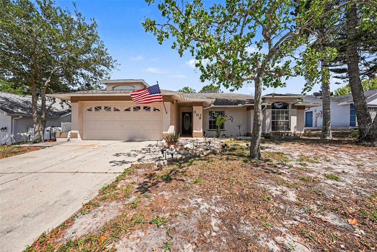 803 High Point Ct., Tarpon Springs, FL 34689