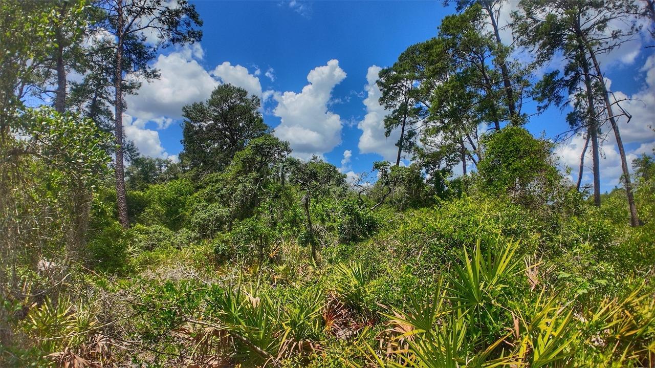 Lot 0370, New Port Richey, FL 34654