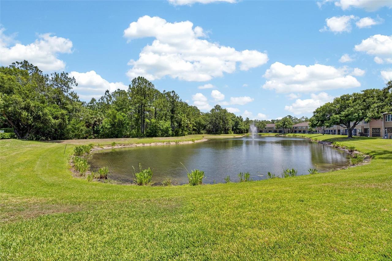 18947 Duquesne Dr., Tampa, FL 33647