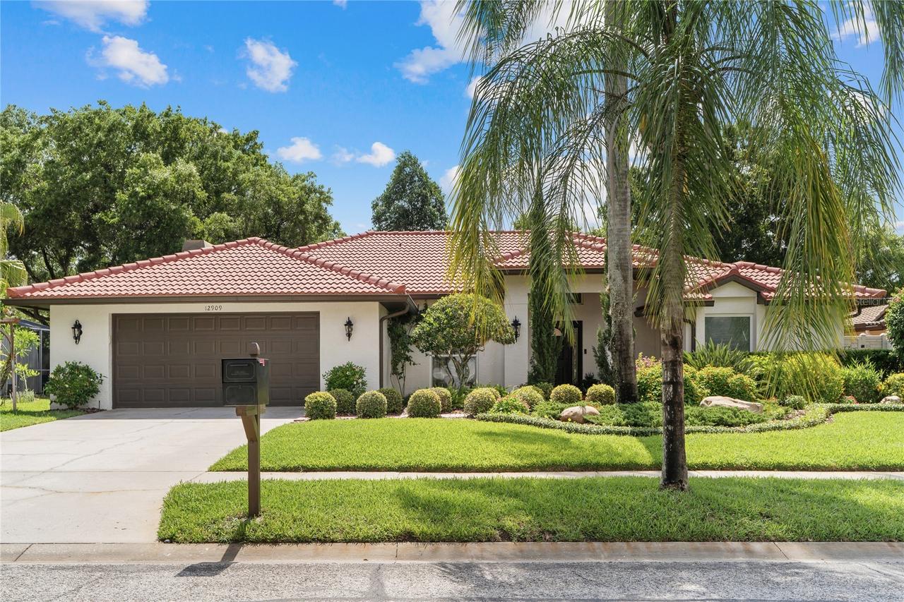 12909 Cinnimon Pl., Tampa, FL 33624
