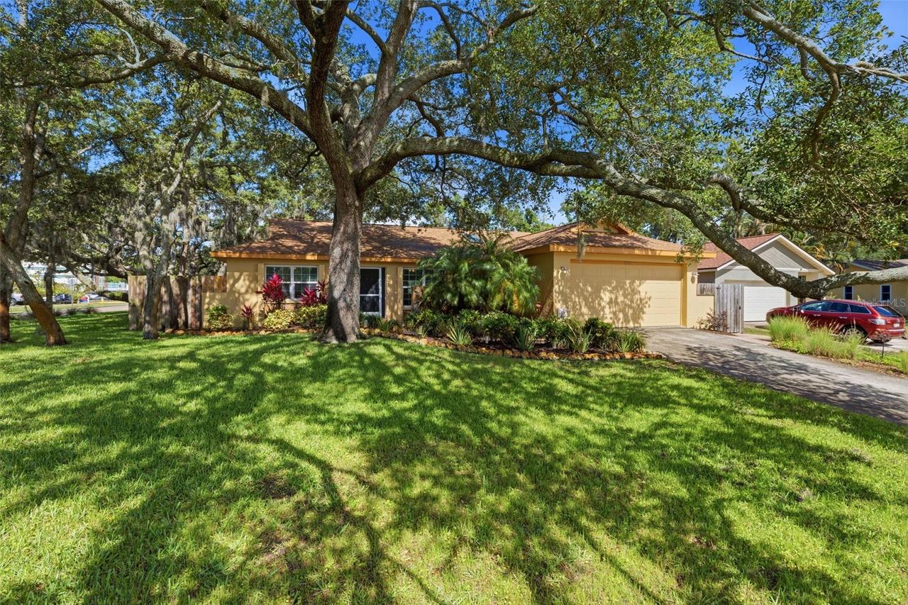 3301 Briarwood Ln., Safety Harbor, FL 34695