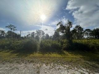 Homes Just Sold in Indian Lake Estates: September 1st to September 7th